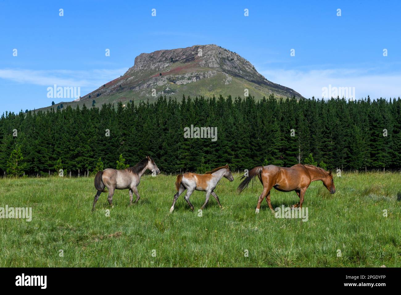 Landscape on the countryside near Hogsback in South Africa Stock Photo ...