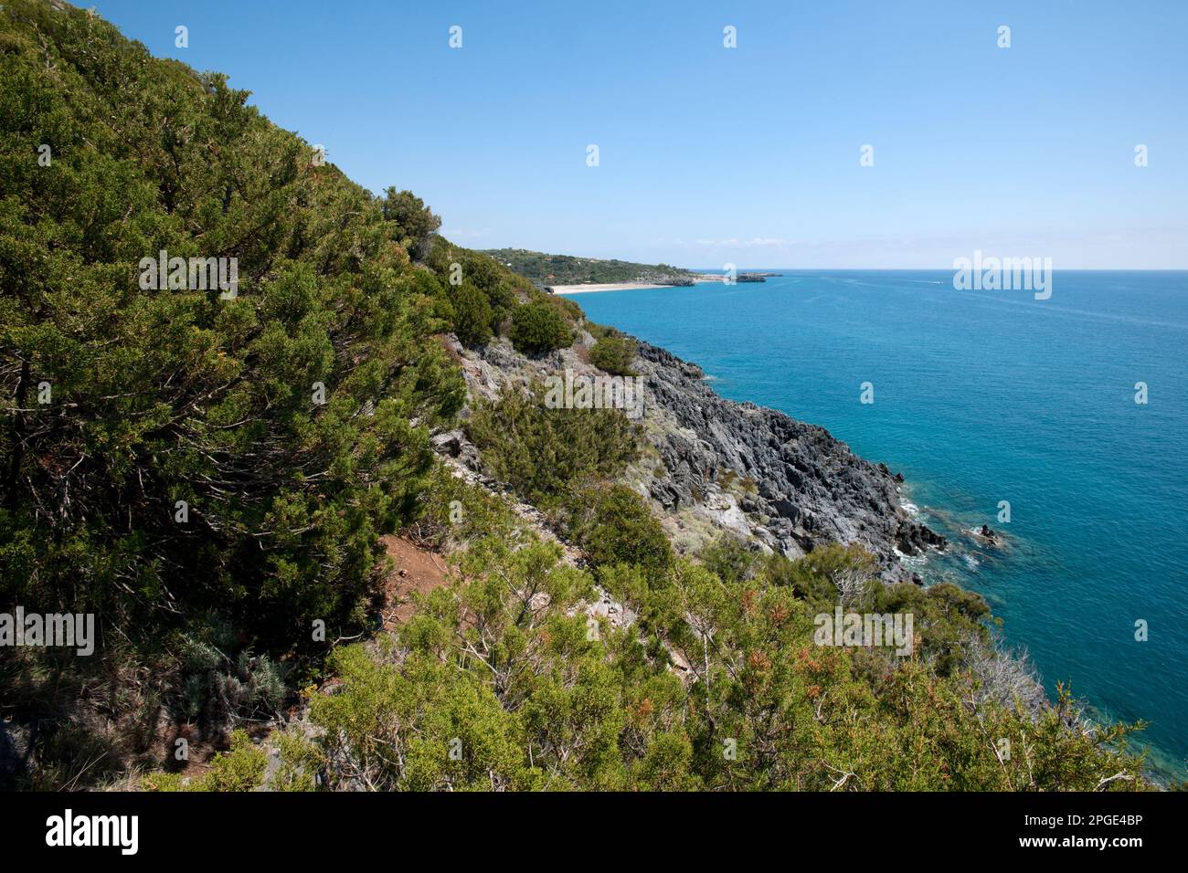 costa cilentana, centola, camerota, salerno, campania, italia Stock