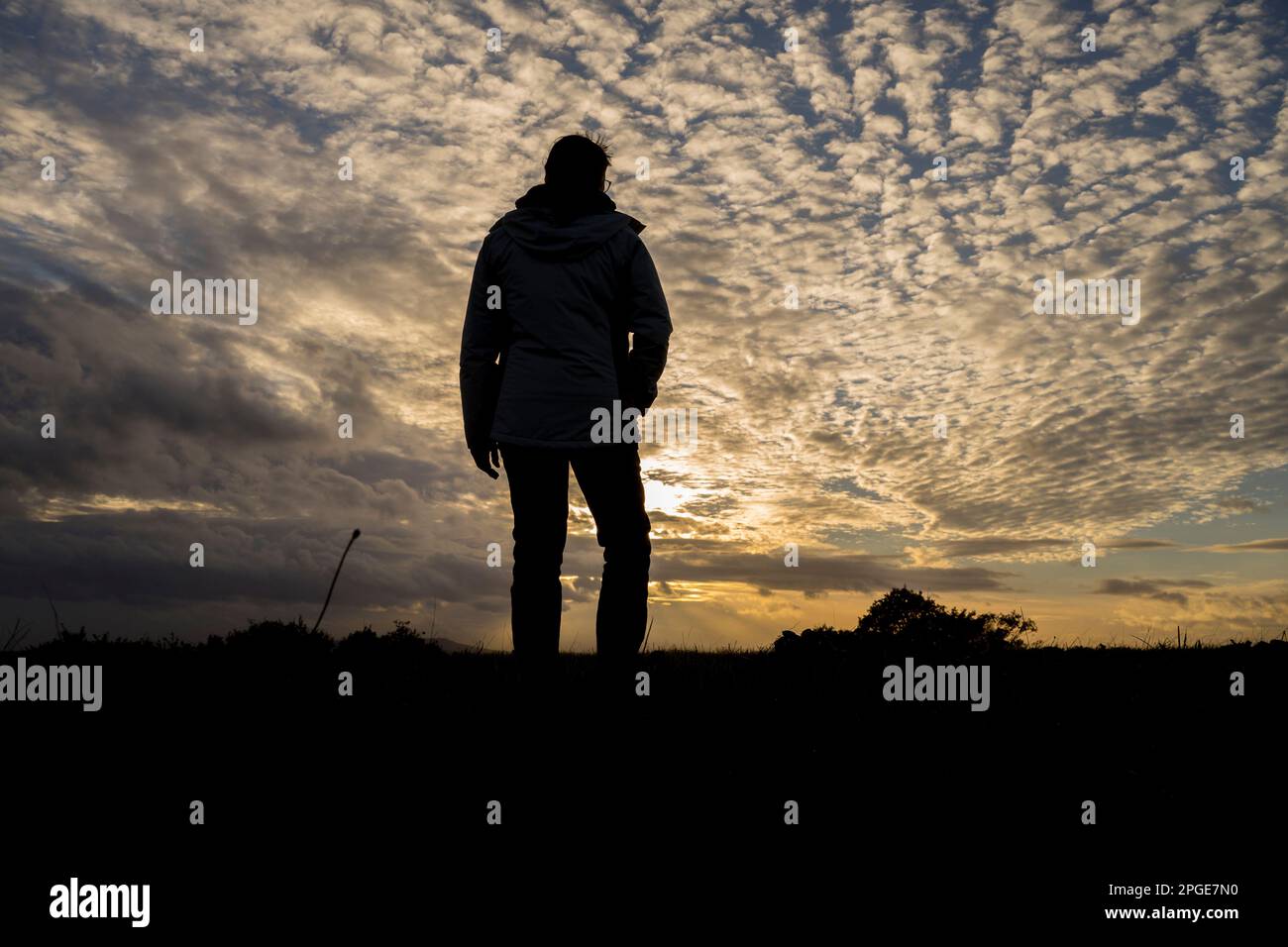 Isolated Figure Silhouette of isolated figure standing in rural UK countryside looking ...