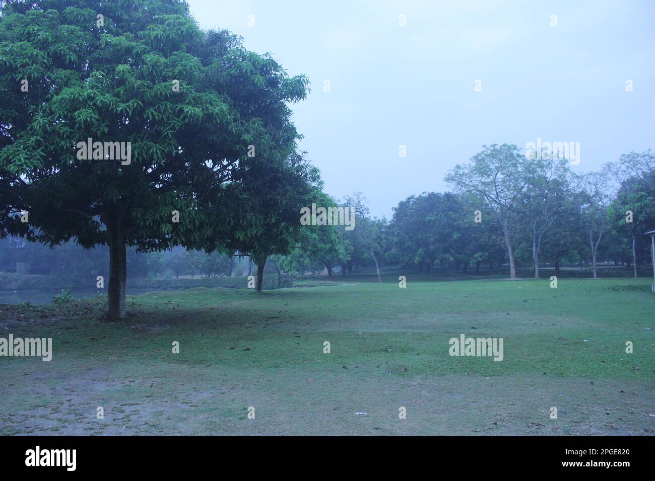 Beautiful real nature images hi-res stock photography and images - Alamy