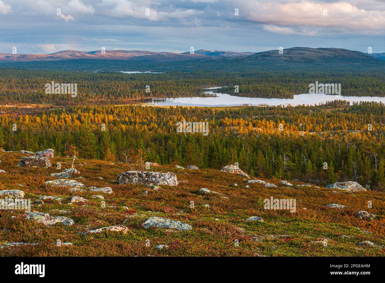 View of forest and mountains at Rogen Nature Reserve, Sweden Stock Photo