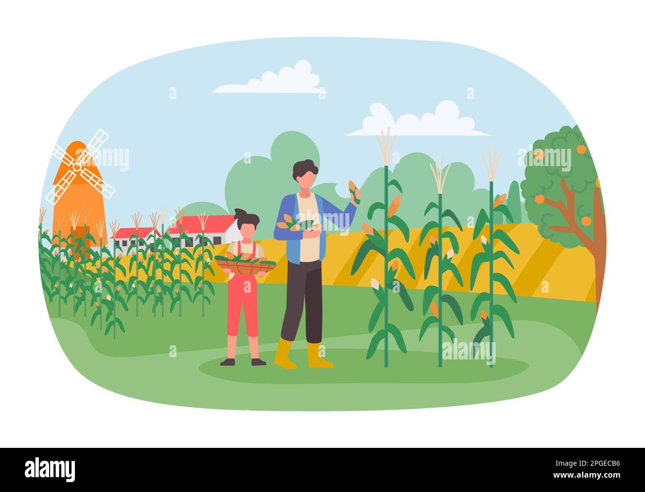 Harvest season. Farmers on plantation collecting corn. Vector of farm