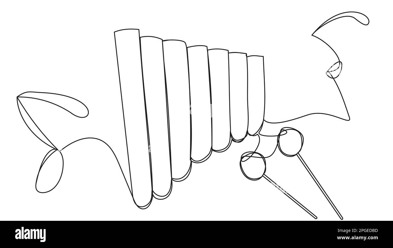 Xylophone in one line with chopsticks isolated on white background