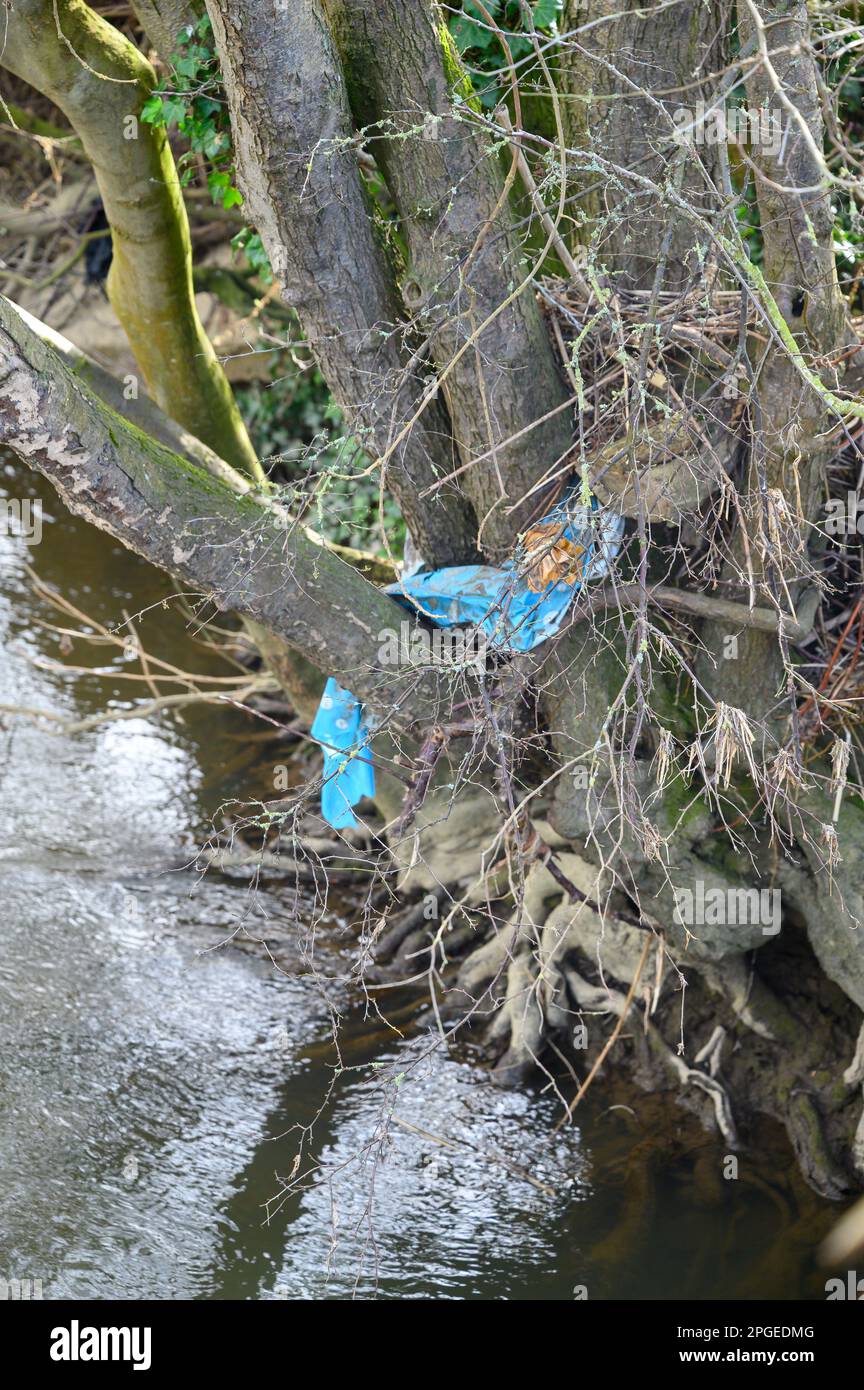 Rubbish caught up in the vegetation along the banks of a stream. Stock Photo