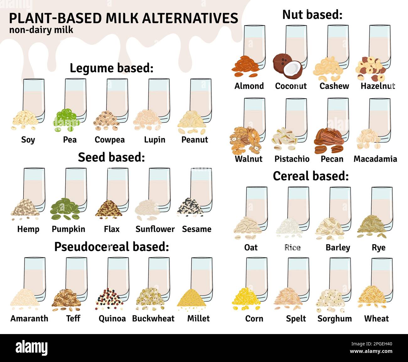 Set of glasses with plantbased milk. Vegan milk types infographic
