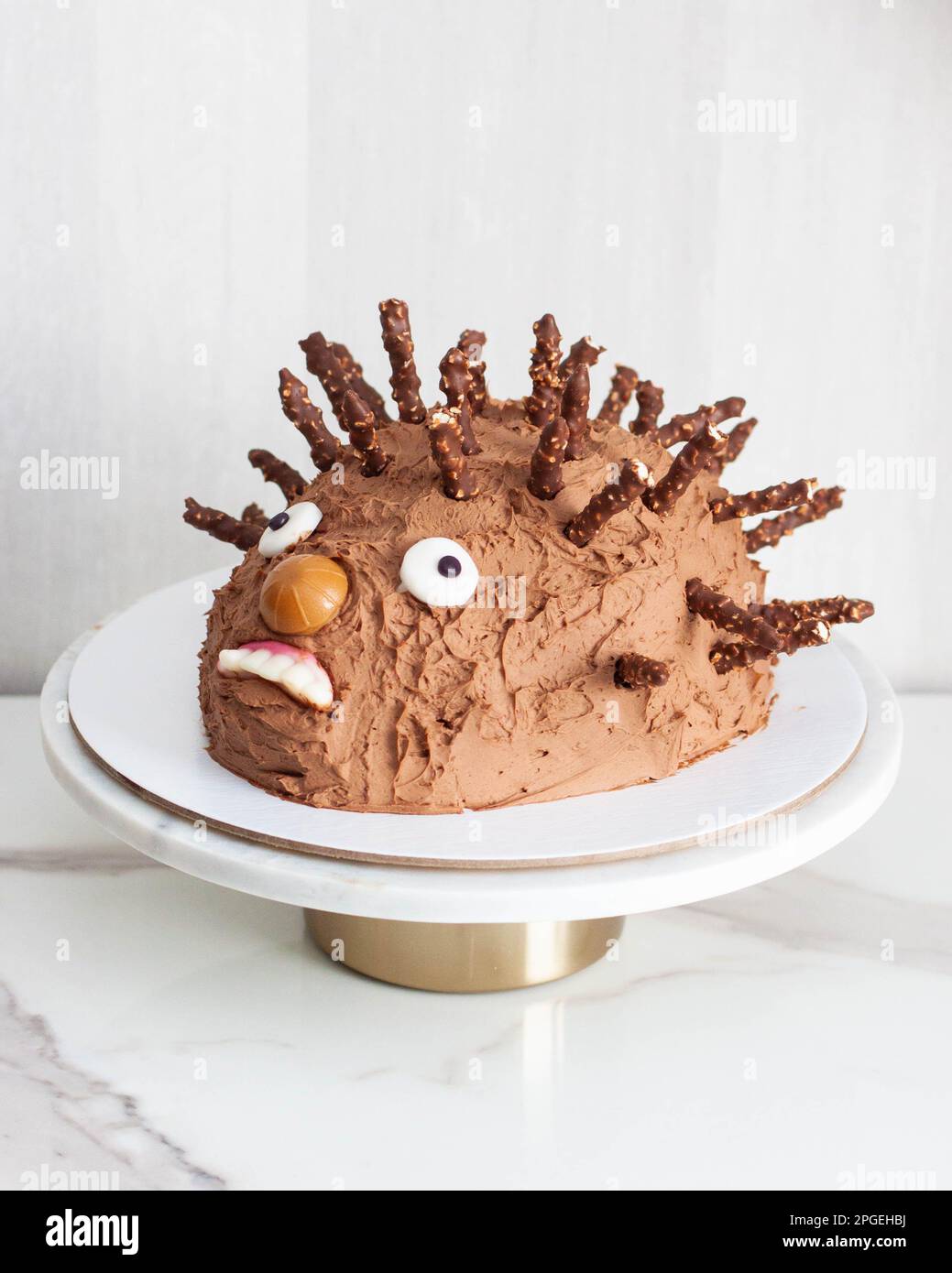 Hedgehog Cake | Cake & Bake Kiwi