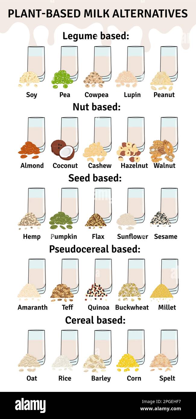 Set of glasses with plantbased milk. Vegan milk types infographic. Almond, soy, rice, coconut