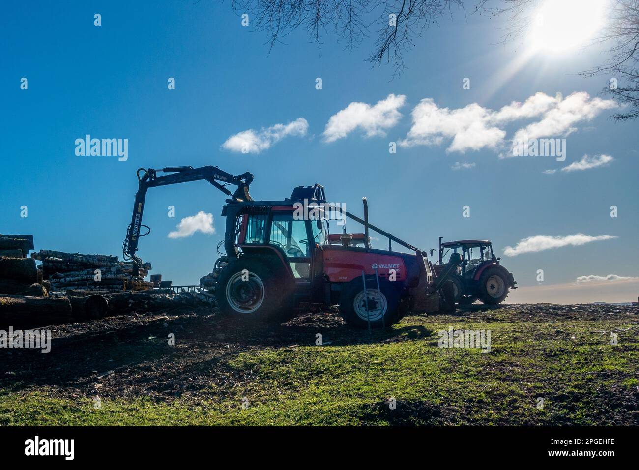 Two red Valmet 8000 tractors with timber mechanical arm crane at a logging site, West Yorkshire, England, UK Stock Photo