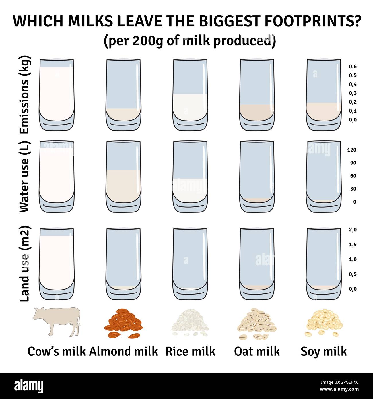 The impact of milk types on the environment. Milk infographic. Dairy
