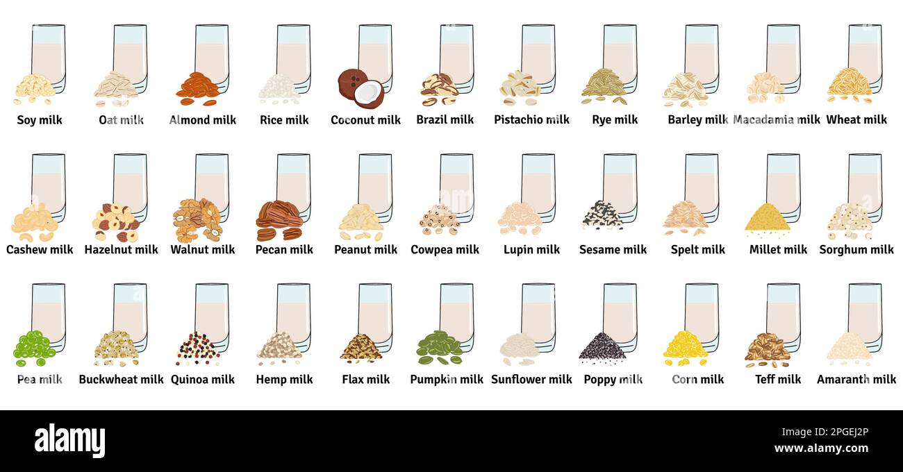 Set of glasses with plant-based milk. Vegan milk in glass. Pistachio, pumpkin and sunflower seeds, amaranth, corn, macadamia, sesame milk. Milk altern Stock Vector