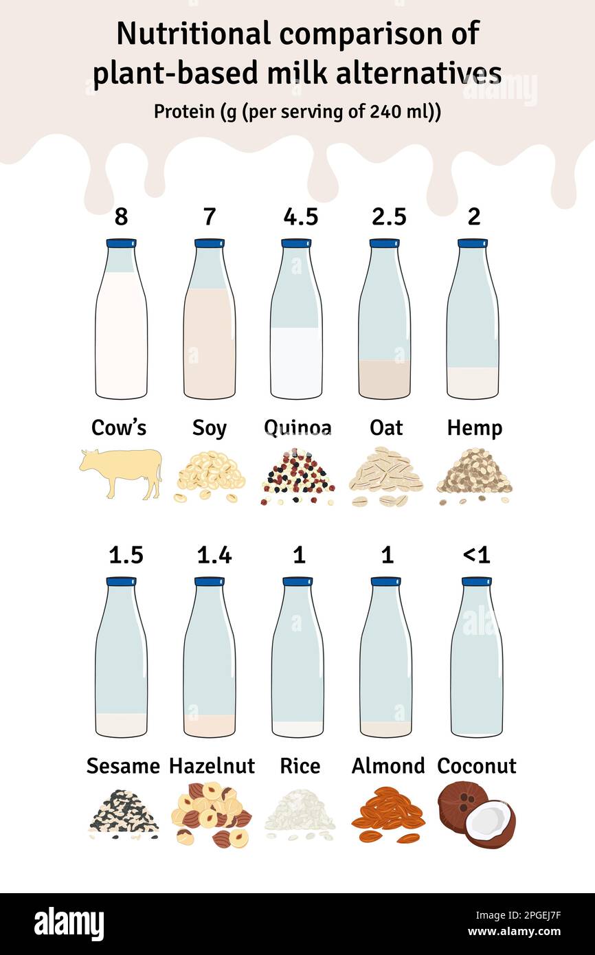 Set of bottles with plantbased milk. Vegan milk protein infographic