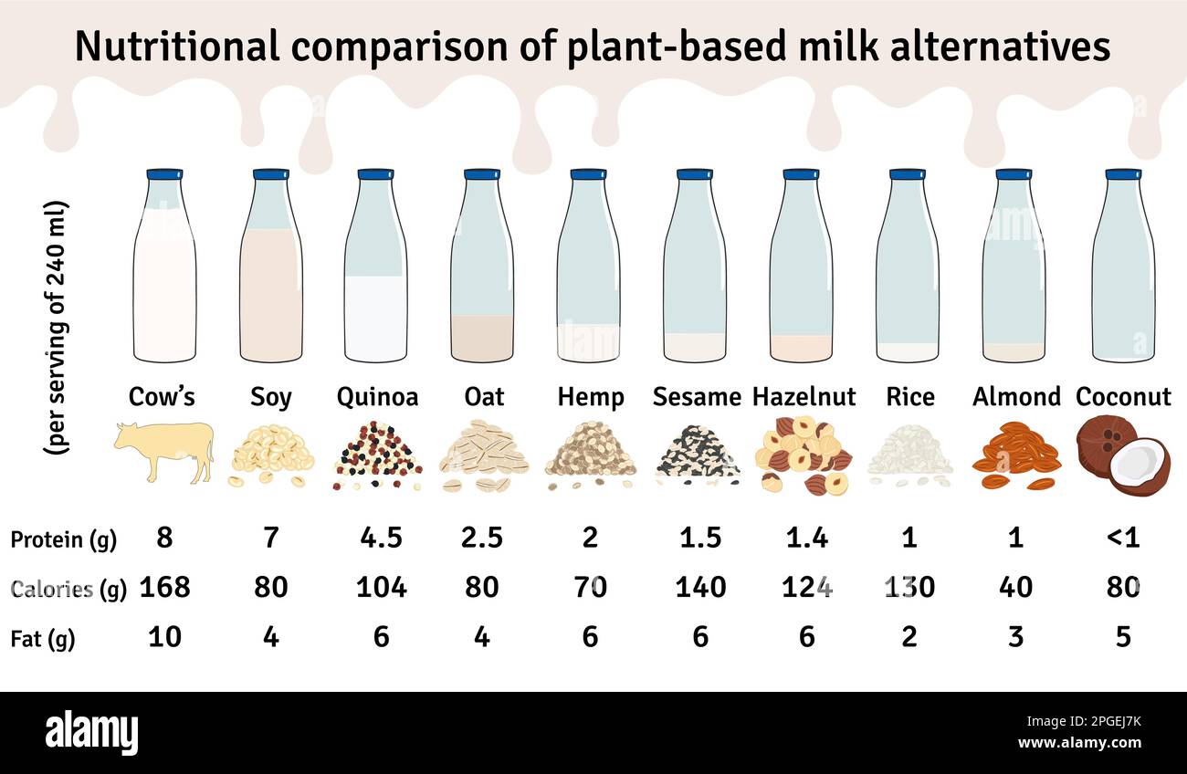 Set of bottles with plantbased milk. Vegan milk protein infographic