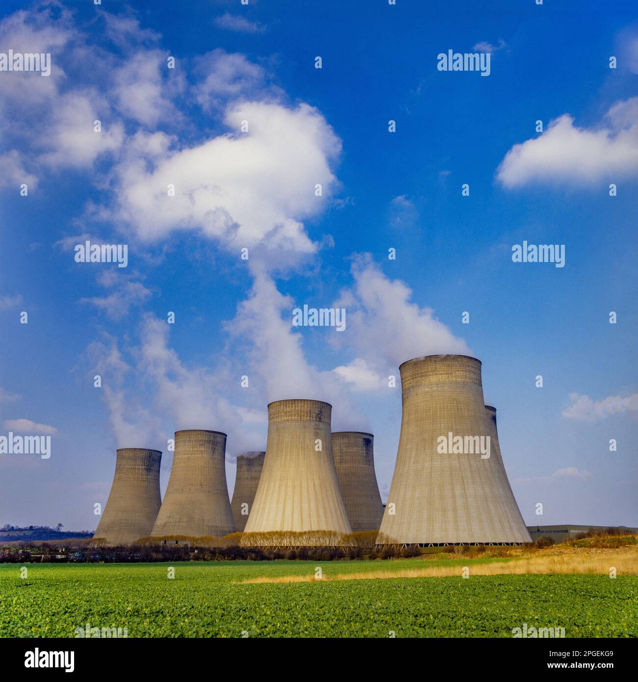 My Image 11