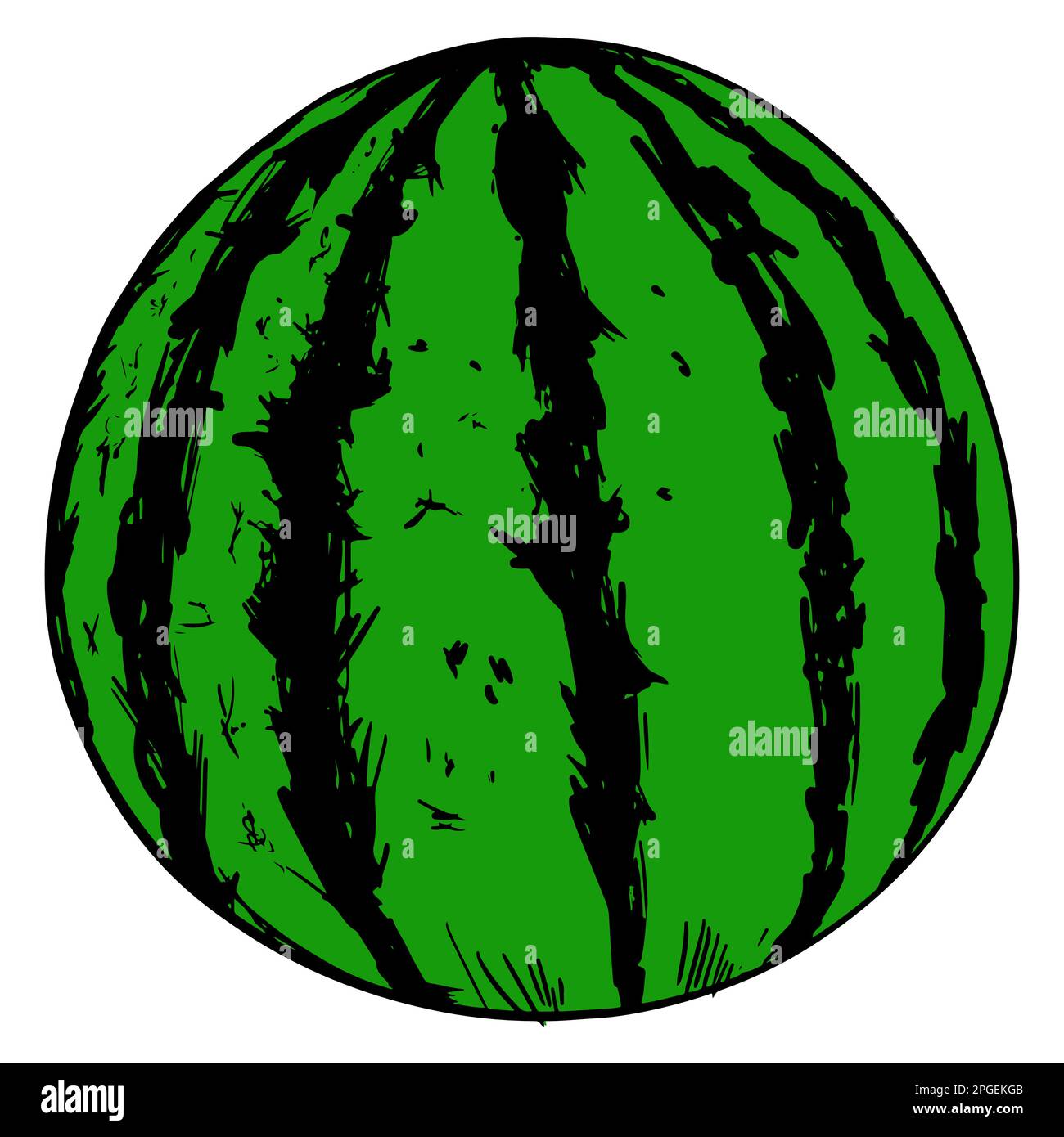 Cartoon green watermelon with black texture on a white isolated