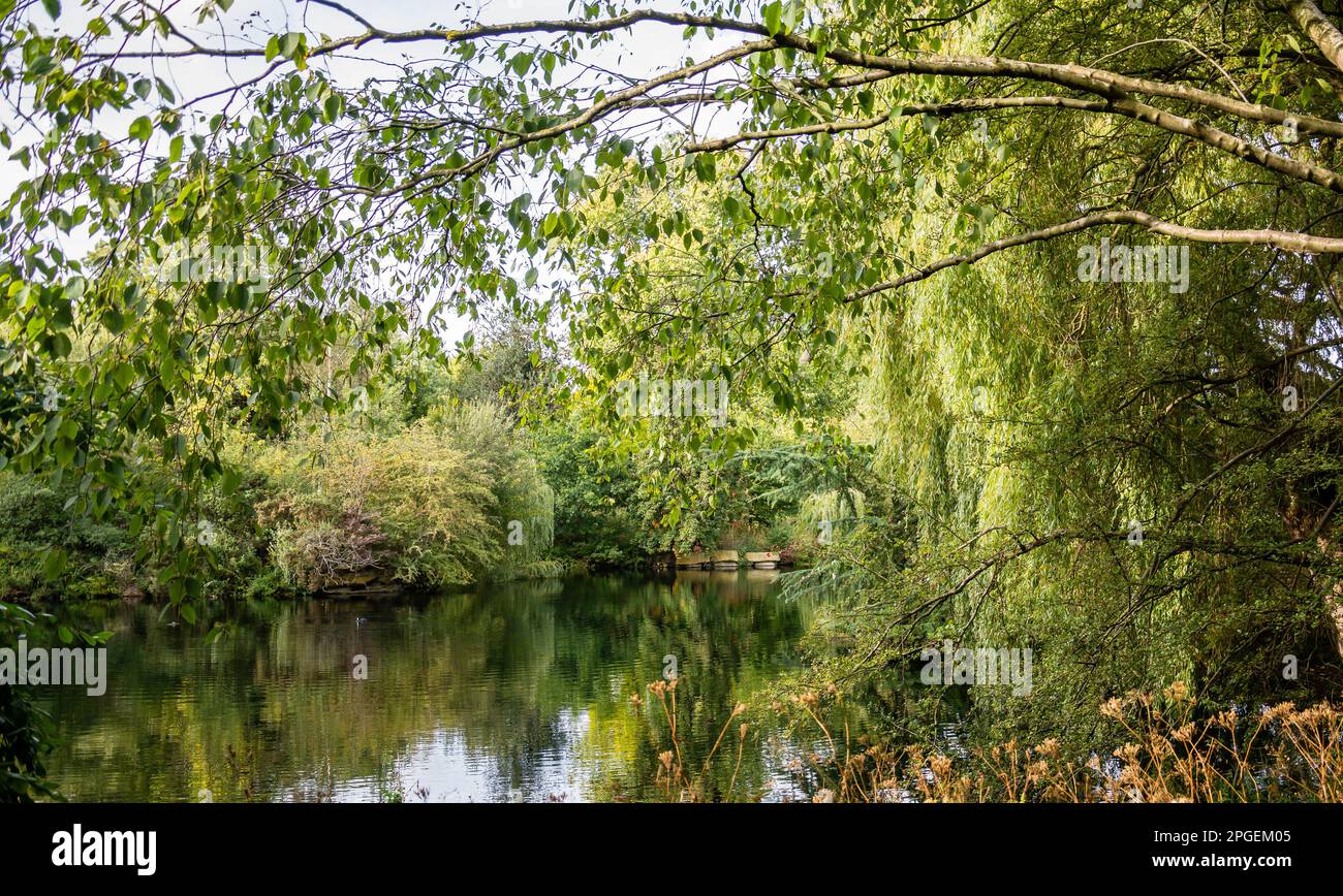 Buckingham Palace Gardens Stock Photo