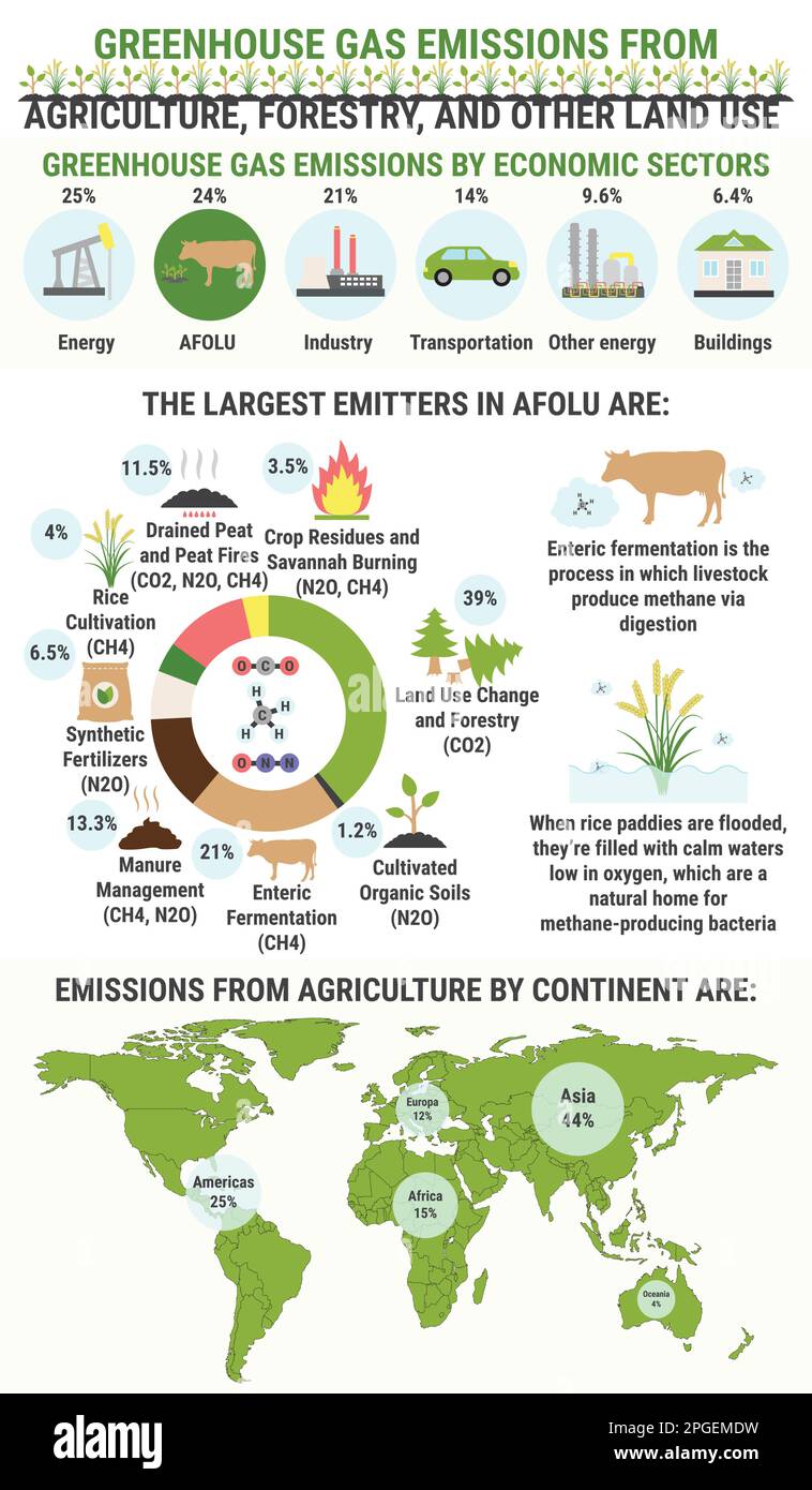 Infographic of global greenhouse gas emissions by agriculture, forestry and other land use sector. Methane. Ecological environment pollution. Global w Stock Vector