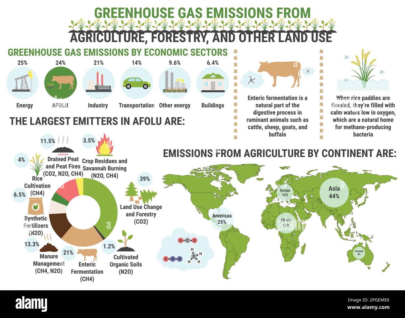 Infographic of global greenhouse gas emissions by agriculture, forestry and other land use sector. Methane. Ecological environment pollution. Global w Stock Vector