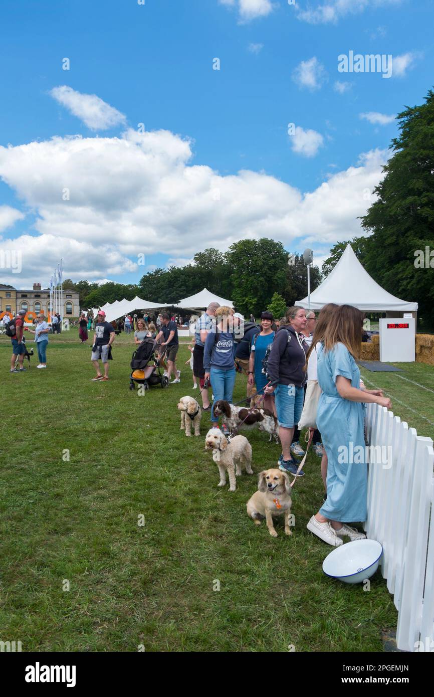 People with their cockapoos and spaniels waiting to take part in the ...