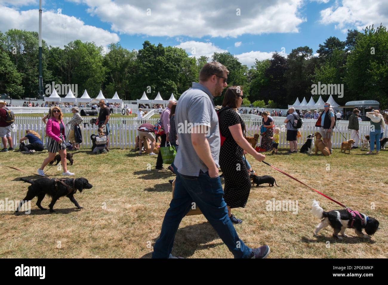 People with their spaniels walking past the agility show ring at