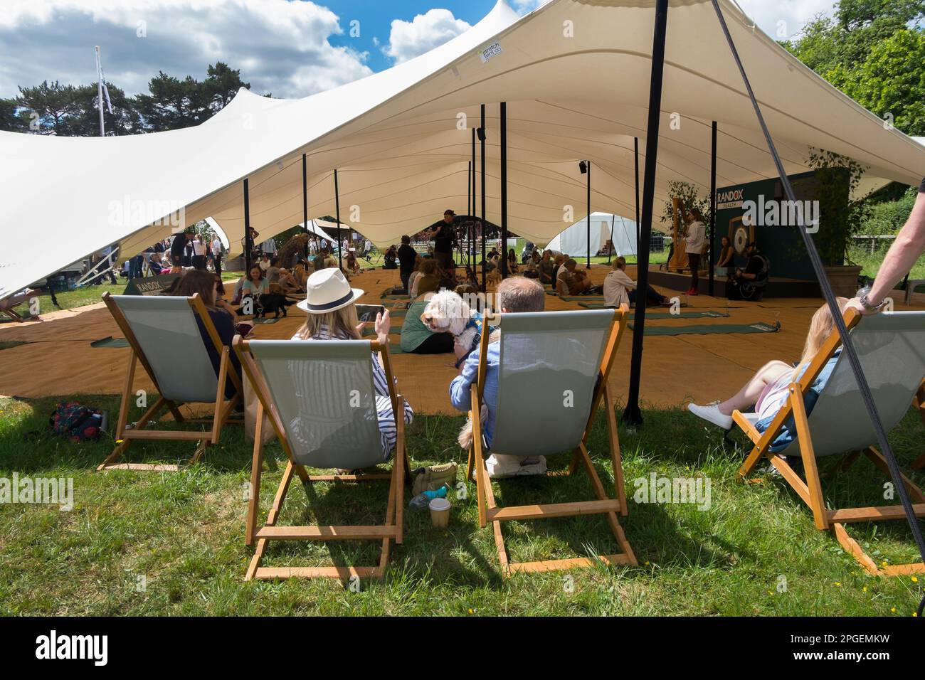People sitting on deckchairs watching the dog yoga class, while their ...
