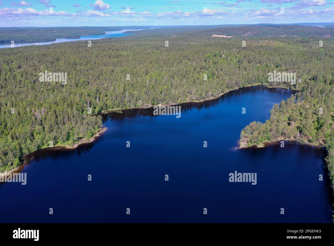 See, Teich in Schweden, Storetjämet in der Nähe von Svarrjärn in Mittelschweden, Värmland Stock Photo