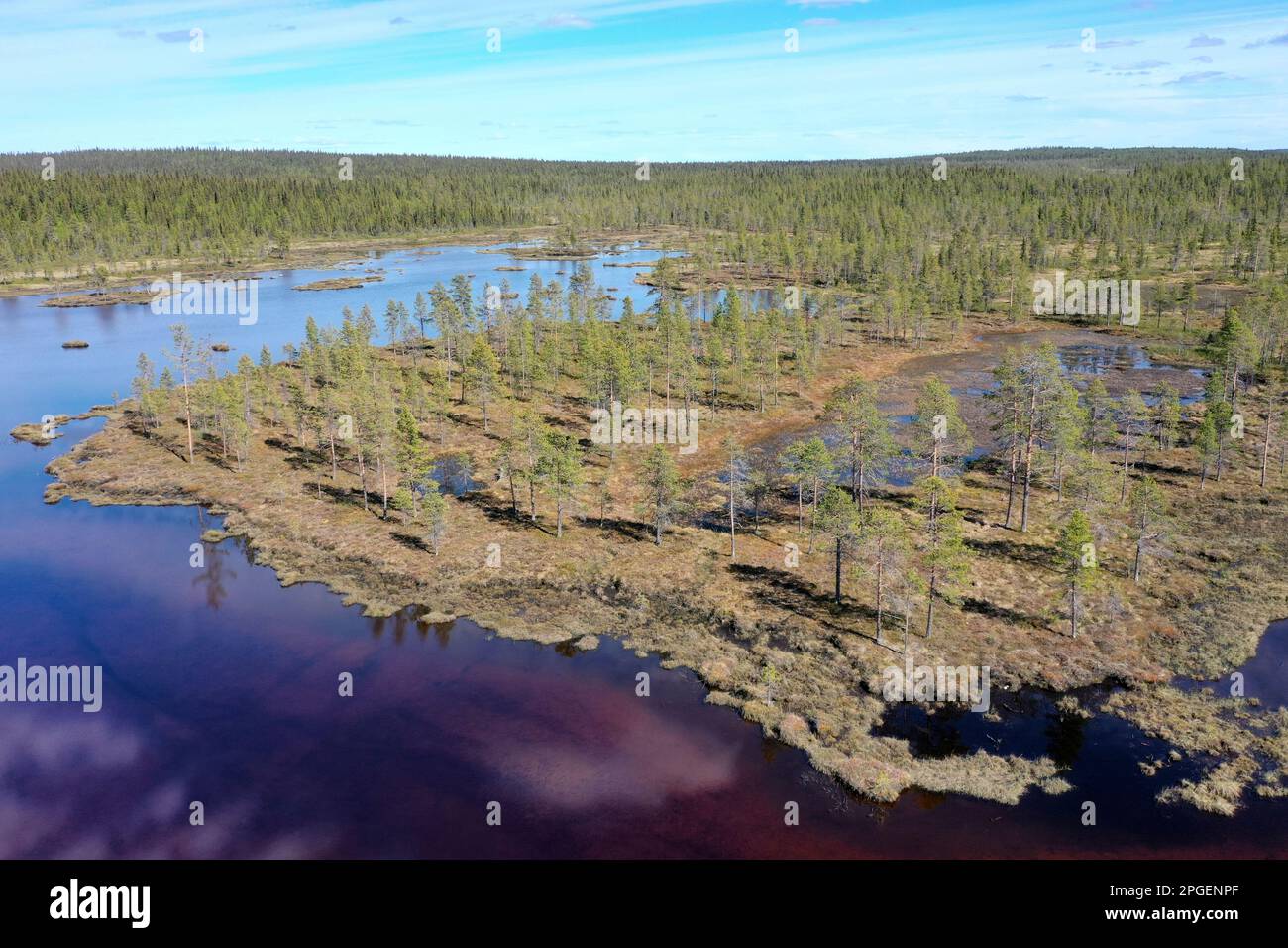 See, Teich und Wald in Schweden, borealer Nadelwald, Taiga