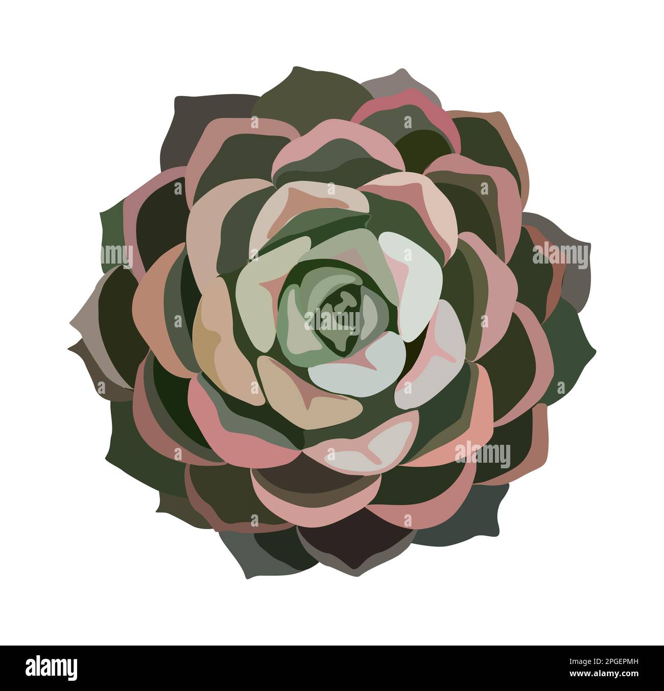 Top view transparent pot Stock Vector Images - Alamy