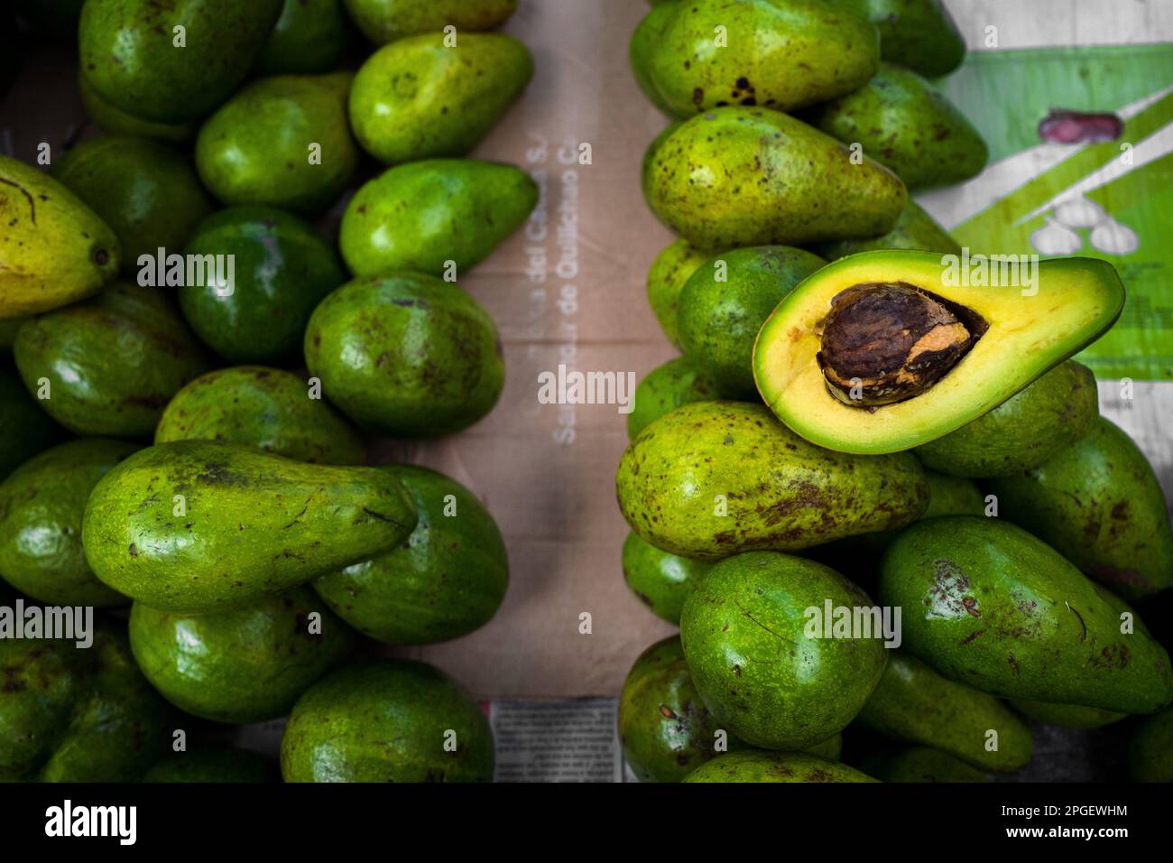 Fresh and ripe avocados are seen arranged on the market stand for sale in the street market in Barranquilla, Colombia. Stock Photo