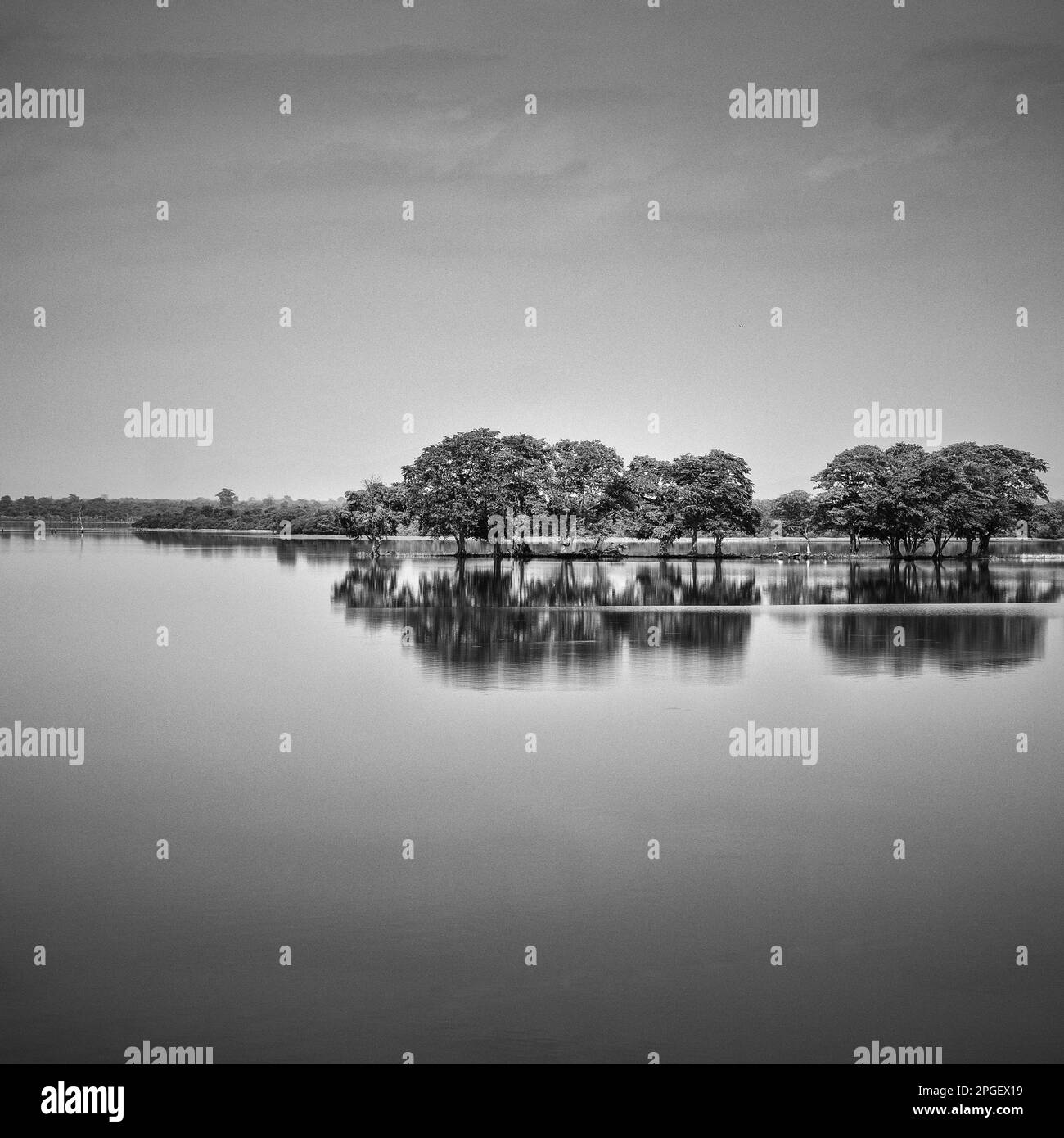 Sri Lanka, Ratnapura District, Udawalawa National Park. Lake near the