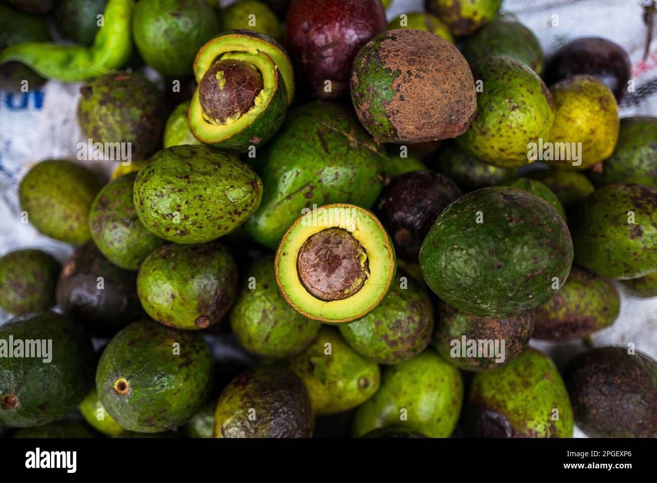 Fresh and ripe avocados are seen piled on the market stand for sale in the street market in Cali, Colombia. Stock Photo