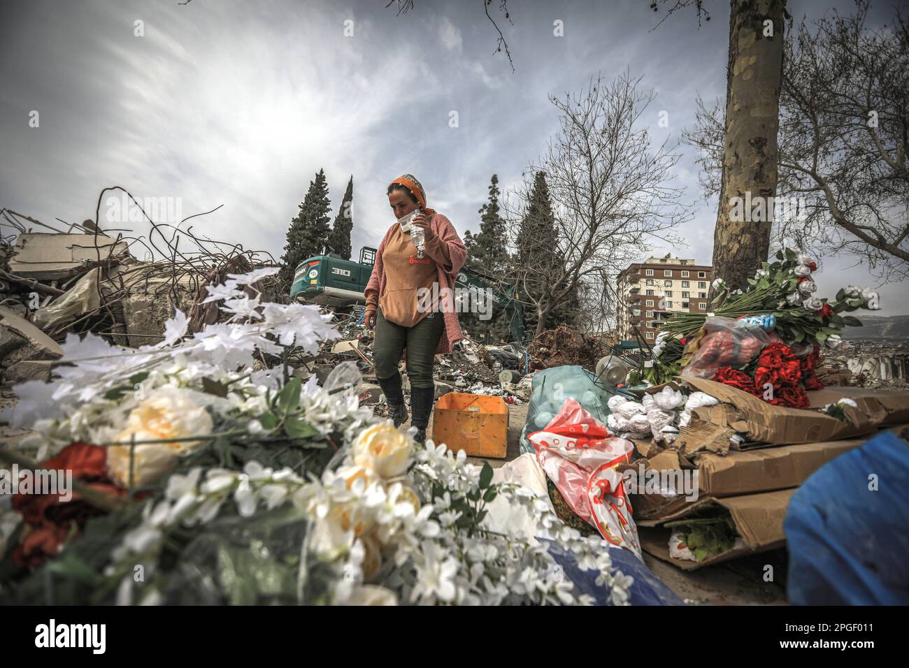 Kahramanmara, Turkey. 4th Mar, 2023. A local resident and store owner who survived the quake, looks through the remains of her flower shop after the earthquake on in Southern Turkey. (Credit Image: © Shady Alassar/ZUMA Press Wire) EDITORIAL USAGE ONLY! Not for Commercial USAGE! Stock Photo