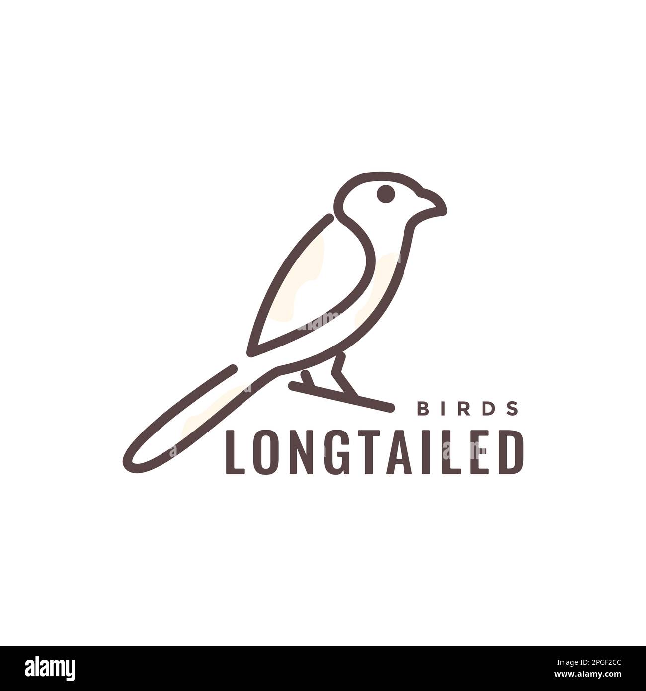 bird long tailed modern abstract line art logo design vector Stock