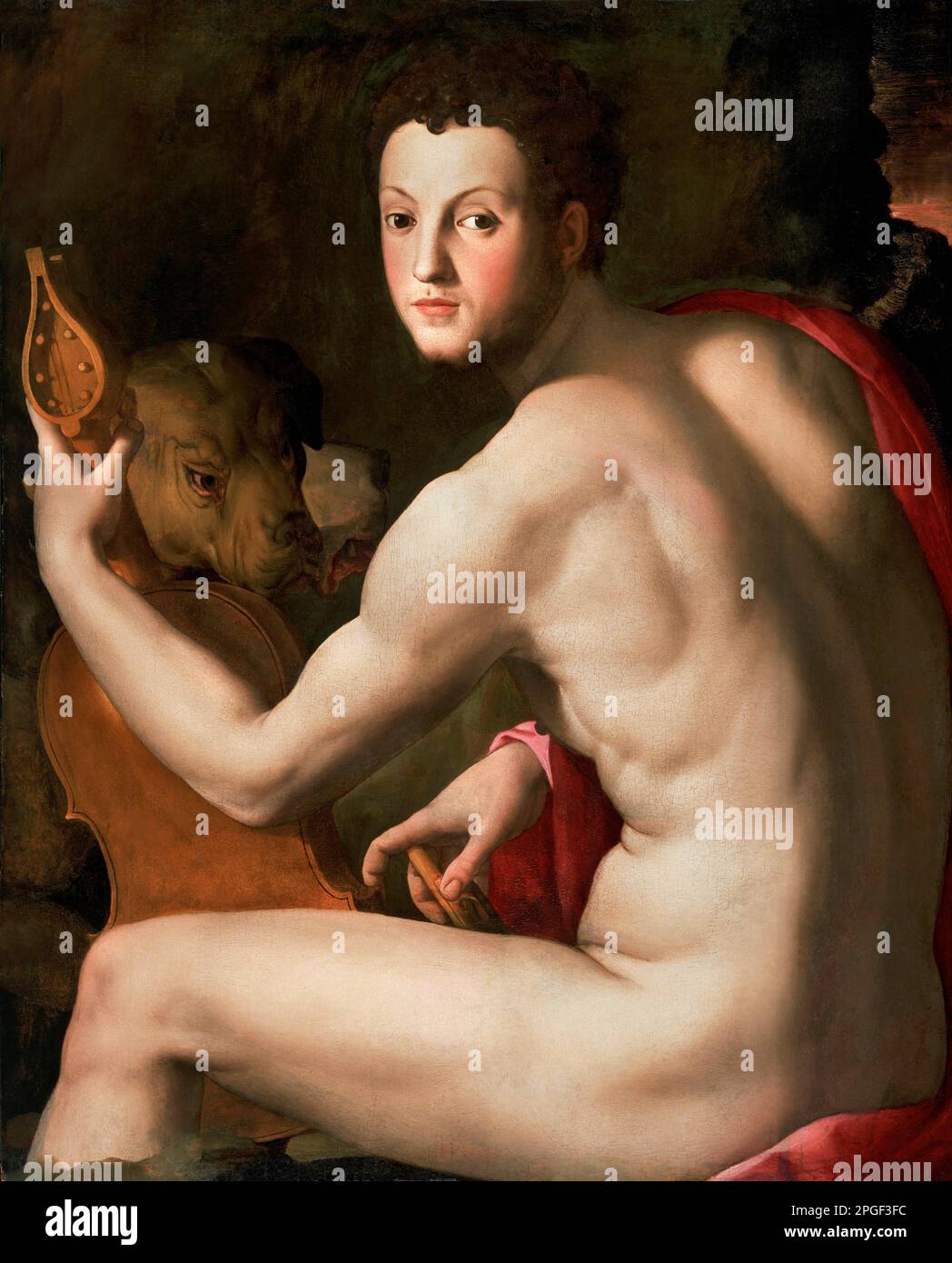 Cosimo I de' Medici (1519-1574), Grand Duke of Tuscany. painting entitled 'Portrait of Cosimo I de' Medici as Orpheus', by Agnolo Bronzino (1503-1572), oil on panel, 1540s.  Cosimo I is best remembered today for the creation of the Uffizi gallery in Florence. Stock Photo