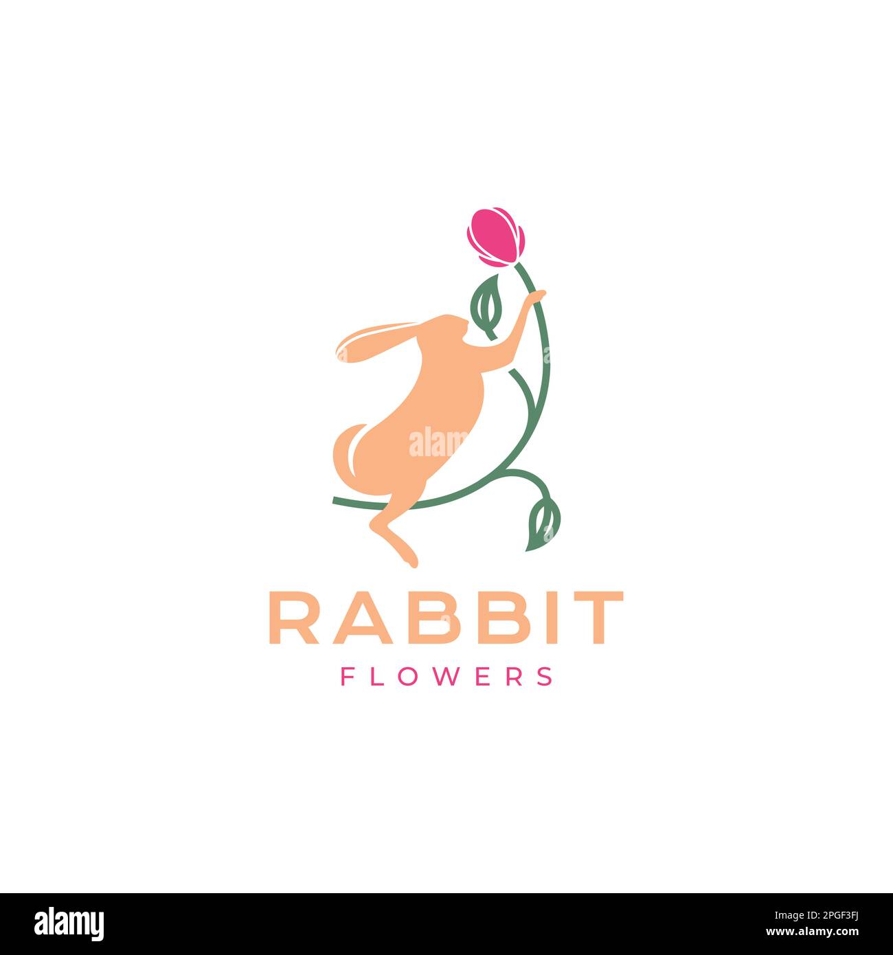 animal pets rabbit hare bunny flowers rose modern logo design vector Stock Vector