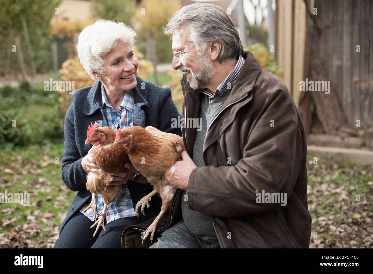 Mature couple holding chicken birds in the farm, Bavaria, Germany Stock Photo