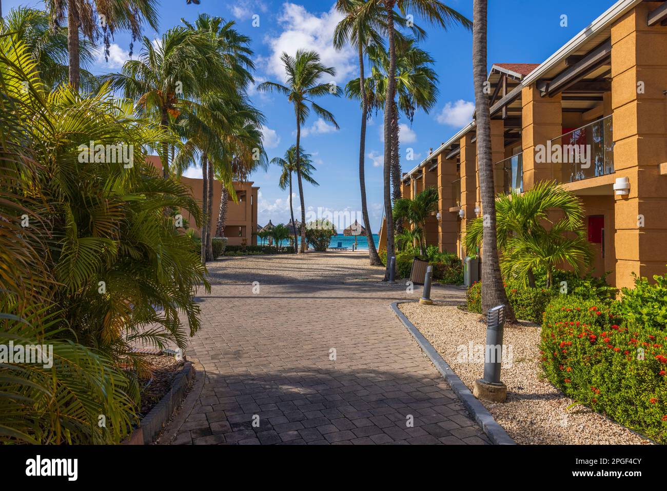 Beautiful view of territory hotel with palm trees on shores of Atlantic Ocean. Aruba. Stock Photo