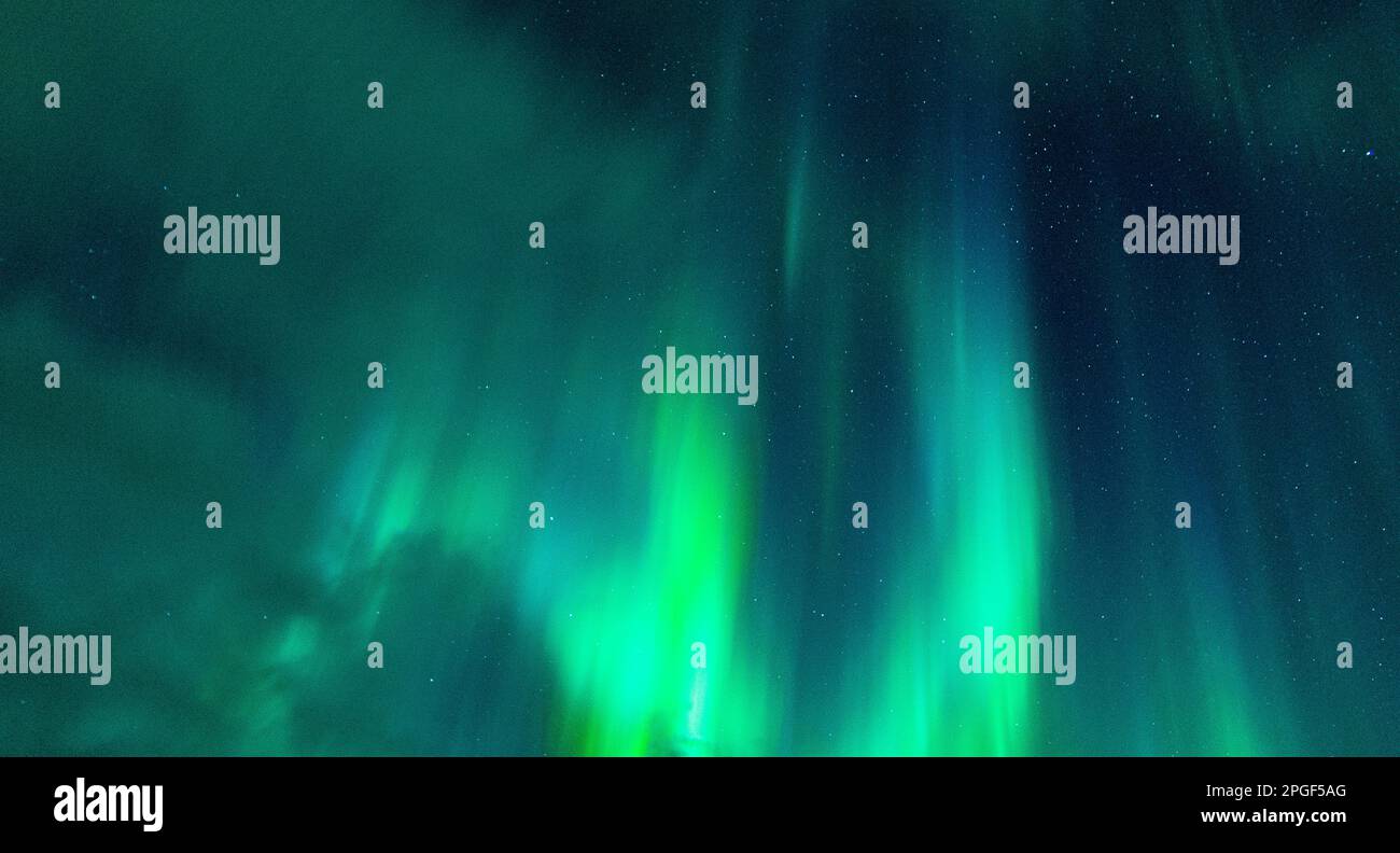 A beautiful night sky filled with an array of vibrant green northern ...