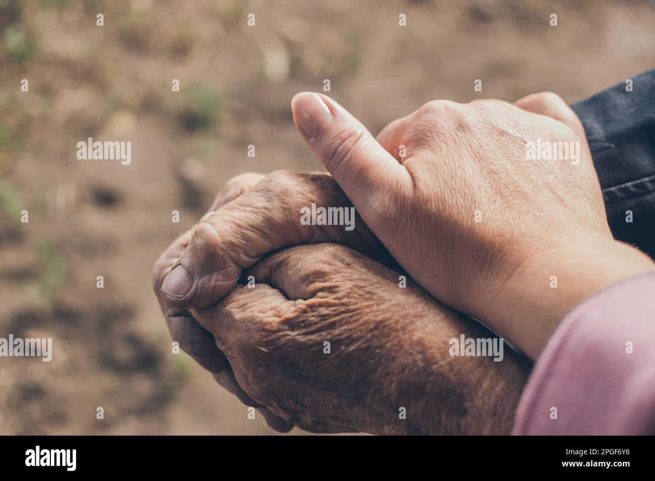 Hands of old grandmother and granddaughter, tenderness and care Stock Photo