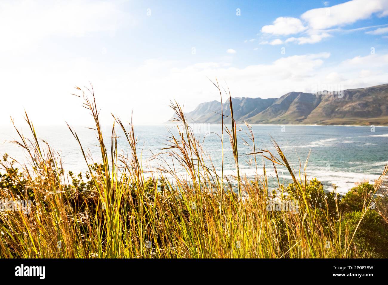 Grass scene with a ocean and mountain landscape Stock Photo