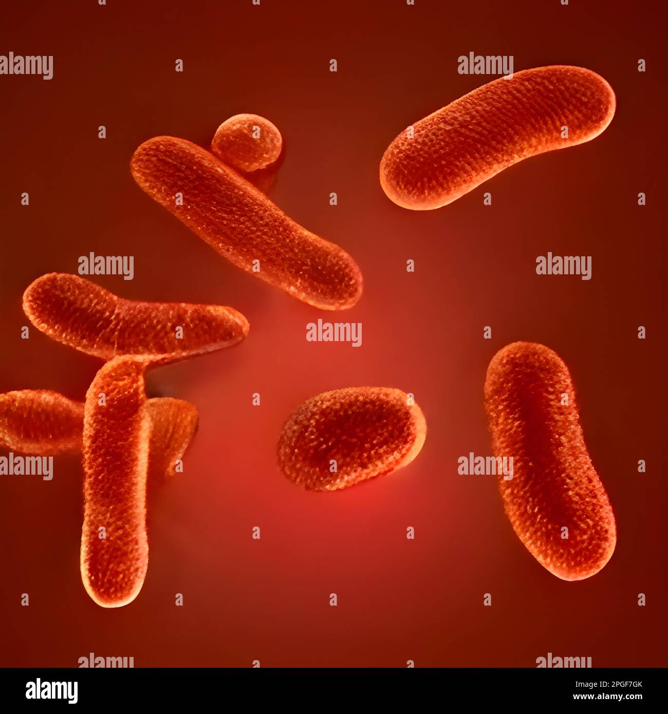microscopic bacteria. Legionella pneumophila illustration Stock Photo