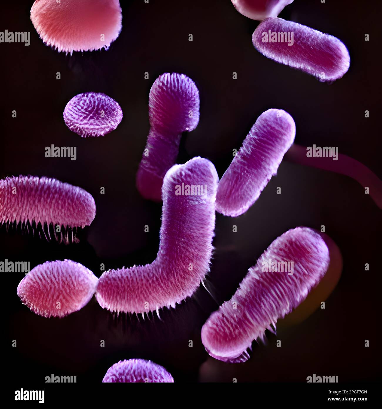 microscopic bacteria. Legionella pneumophila illustration Stock Photo Alamy