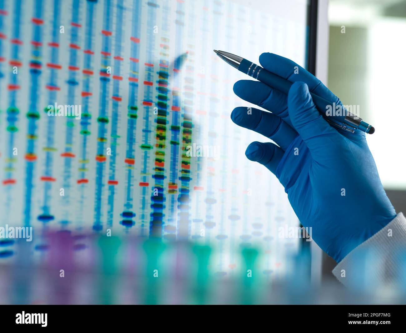 Scientist analysing a DNA profile after testing in the lab. Stock Photo