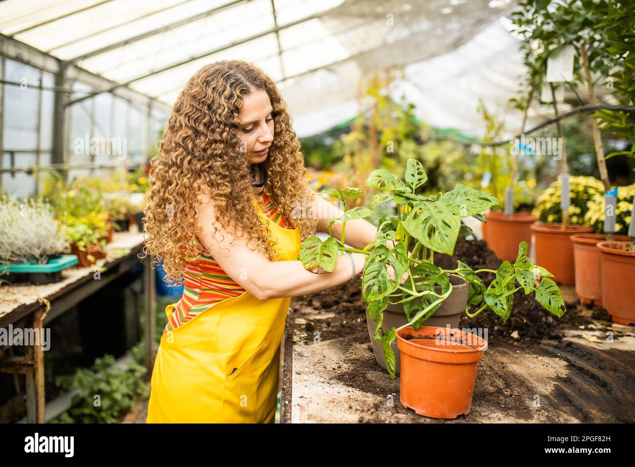 Gardening work in the garden RM Elena Garcia Corral.jpg Stock Photo Alamy
