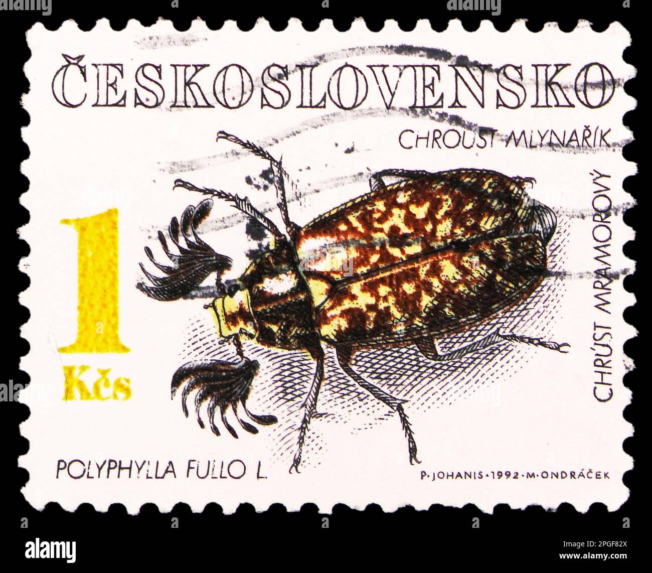 MOSCOW, RUSSIA - MARCH 16, 2023: Postage stamp printed in Czechoslovakia shows Pine Chafer (Polyphylla fullo), Beetles serie, circa 1992 Stock Photo