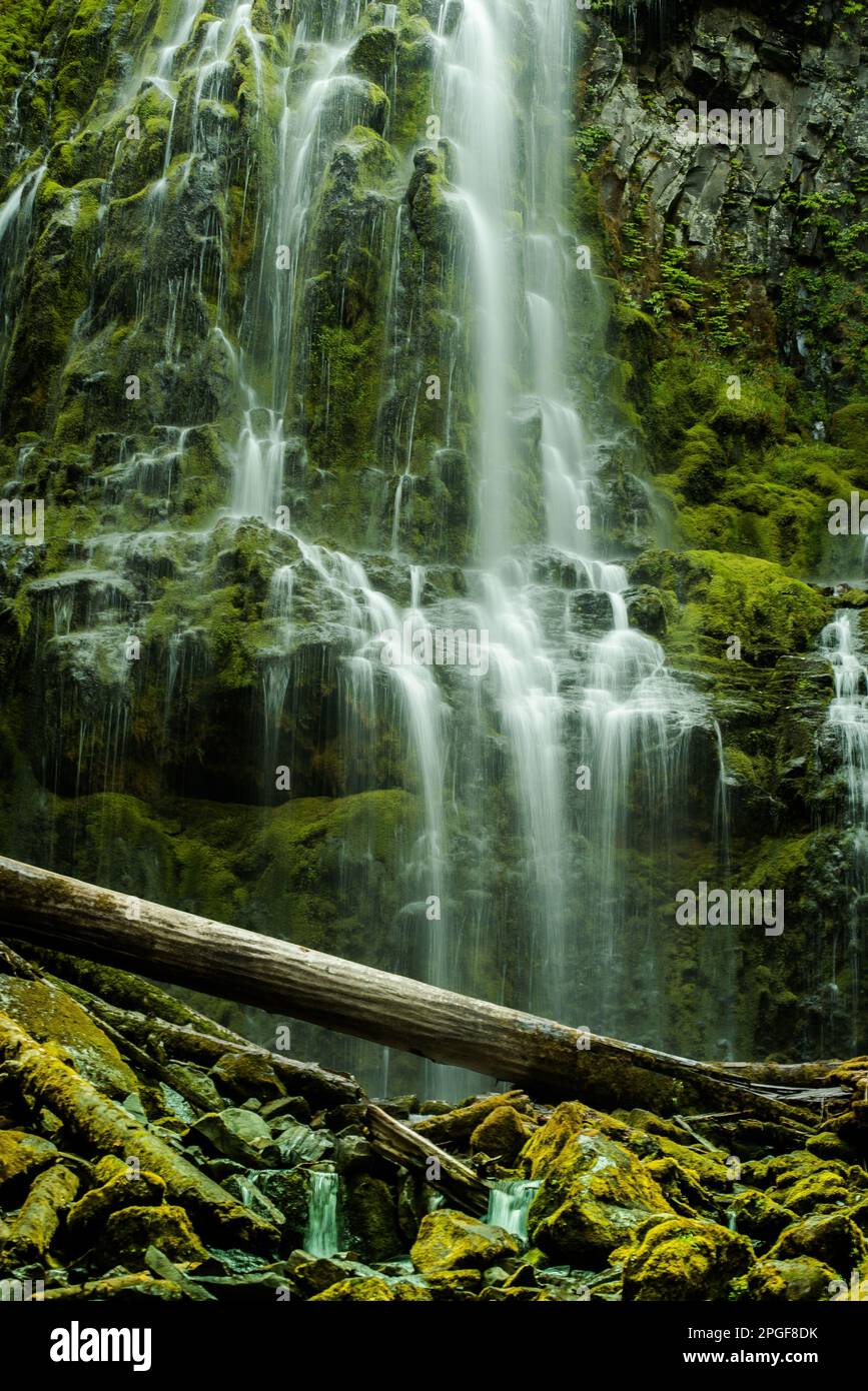 Proxy Falls near Eugene, Oregon Stock Photo