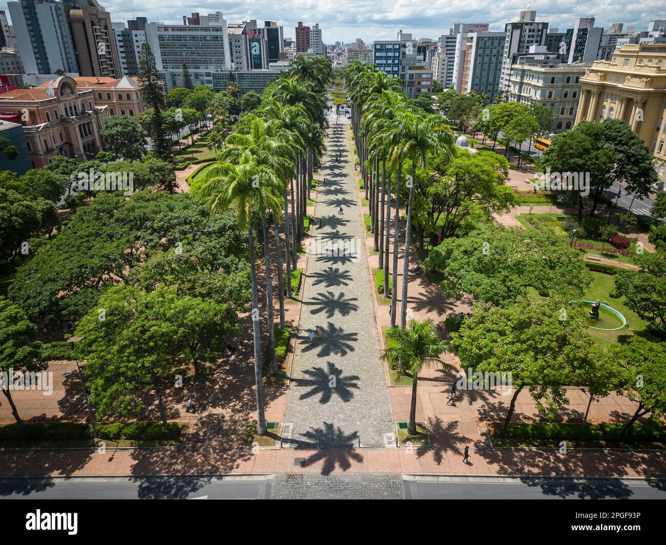 Beautiful drone view to line of imperial palm trees on green square Stock Photo