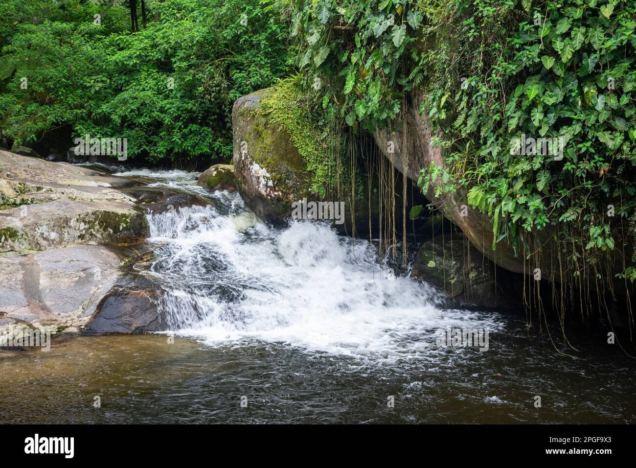 Beautiful view to green rainforest waterfall in jungle area Stock Photo
