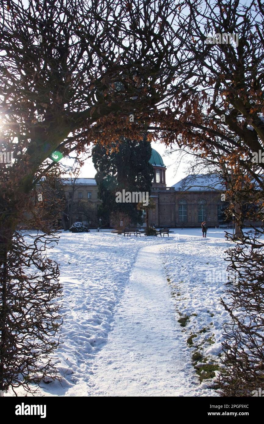 Karlsruhe, Germany - February 12, 2021: Tree arch over a path leading to a building near Karlsruhe Palace on a winter day in Germany. Stock Photo