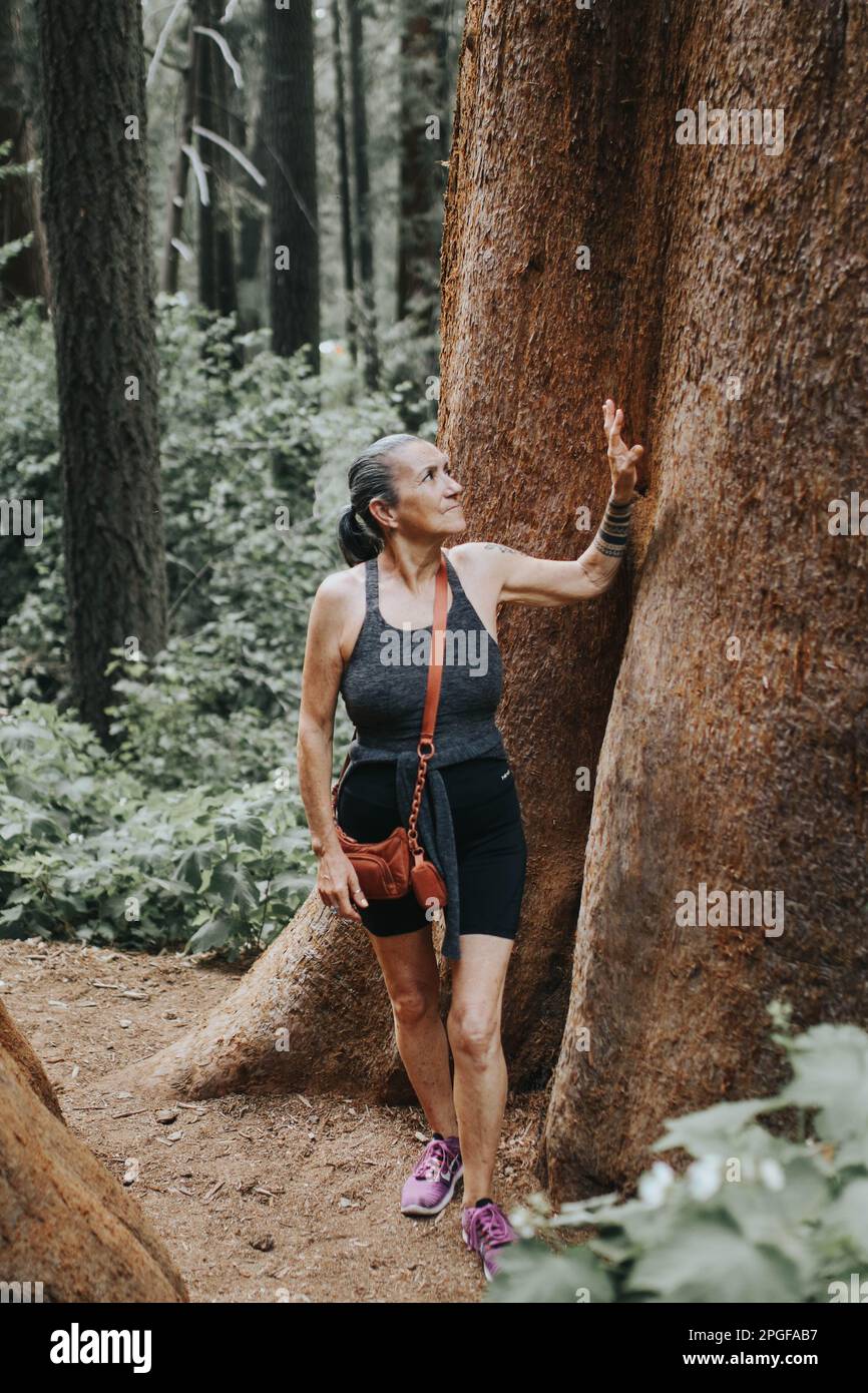 woman standing next to huge sequoia tree Stock Photo