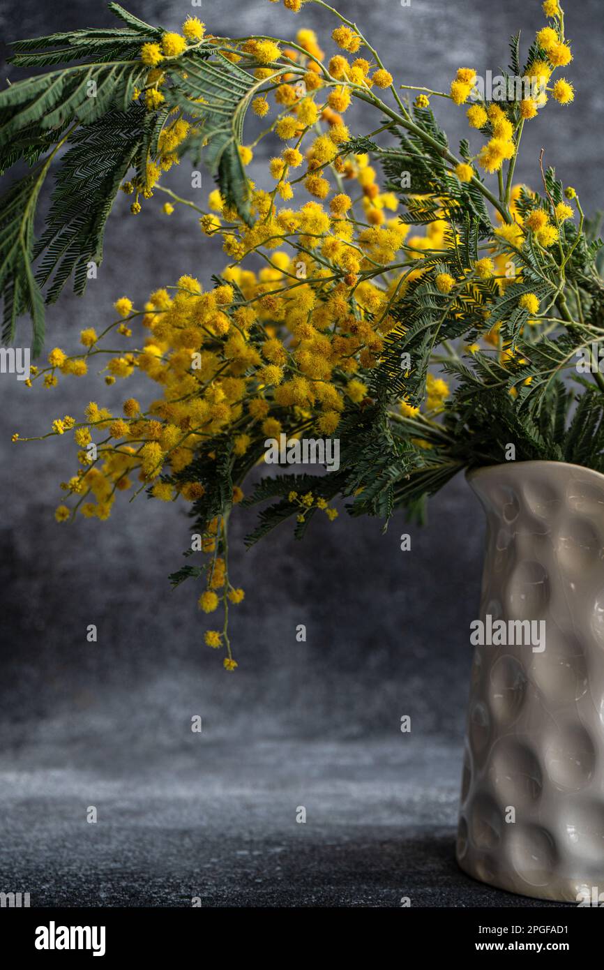 Spring yellow mimosa flowers in interior Stock Photo - Alamy